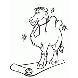 Coloring page: Camel (Animals) #1695 - Free Printable Coloring Pages