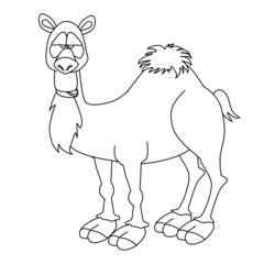 Coloring page: Camel (Animals) #1704 - Free Printable Coloring Pages