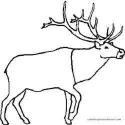 Coloring page: Caribou (Animals) #1543 - Free Printable Coloring Pages