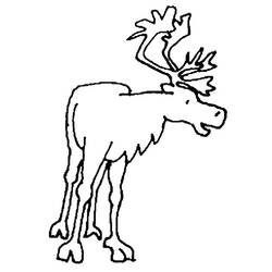 Coloring page: Caribou (Animals) #1549 - Free Printable Coloring Pages
