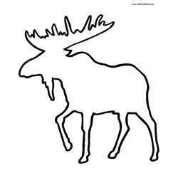 Coloring page: Caribou (Animals) #1556 - Free Printable Coloring Pages