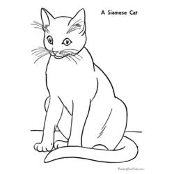 Coloring page: Cat (Animals) #1775 - Free Printable Coloring Pages