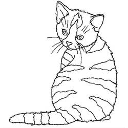 Coloring page: Cat (Animals) #1843 - Free Printable Coloring Pages