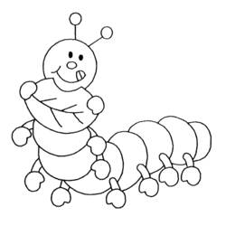 Coloring page: Caterpillar (Animals) #18221 - Free Printable Coloring Pages