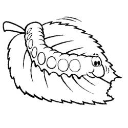 Coloring page: Caterpillar (Animals) #18263 - Free Printable Coloring Pages