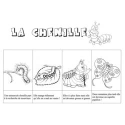 Coloring page: Caterpillar (Animals) #18306 - Free Printable Coloring Pages