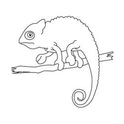 Coloring page: Chameleon (Animals) #1393 - Free Printable Coloring Pages
