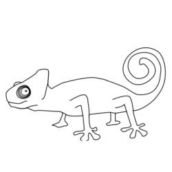 Coloring page: Chameleon (Animals) #1400 - Free Printable Coloring Pages