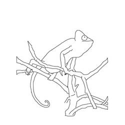 Coloring page: Chameleon (Animals) #1402 - Free Printable Coloring Pages