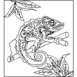 Coloring page: Chameleon (Animals) #1409 - Free Printable Coloring Pages