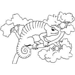 Coloring page: Chameleon (Animals) #1413 - Free Printable Coloring Pages