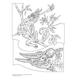 Coloring page: Chameleon (Animals) #1416 - Free Printable Coloring Pages