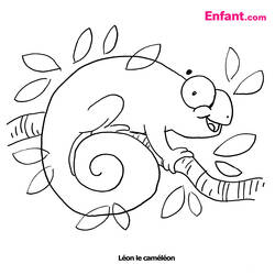 Coloring page: Chameleon (Animals) #1418 - Free Printable Coloring Pages