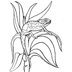Coloring page: Chameleon (Animals) #1420 - Free Printable Coloring Pages