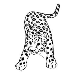 Coloring page: Cheetah (Animals) #7870 - Free Printable Coloring Pages