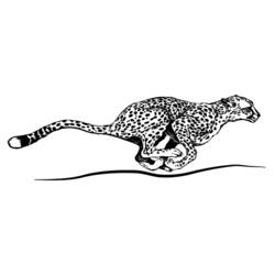 Coloring page: Cheetah (Animals) #7879 - Free Printable Coloring Pages
