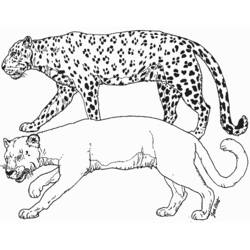 Coloring page: Cheetah (Animals) #7884 - Free Printable Coloring Pages