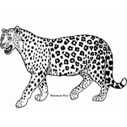 Coloring pages: Cheetah - Free Printable Coloring Pages