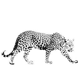 Coloring page: Cheetah (Animals) #7901 - Free Printable Coloring Pages