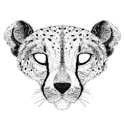 Coloring page: Cheetah (Animals) #7922 - Free Printable Coloring Pages