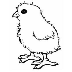 Coloring page: Chick (Animals) #15311 - Free Printable Coloring Pages