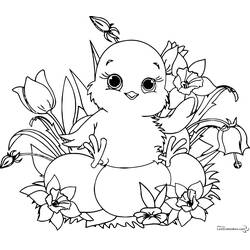 Coloring page: Chick (Animals) #15319 - Free Printable Coloring Pages