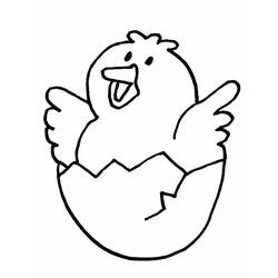 Coloring page: Chick (Animals) #15322 - Free Printable Coloring Pages