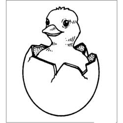 Coloring page: Chick (Animals) #15331 - Free Printable Coloring Pages