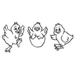 Coloring page: Chick (Animals) #15345 - Free Printable Coloring Pages
