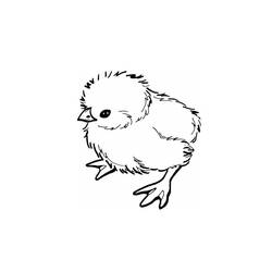Coloring page: Chick (Animals) #15412 - Free Printable Coloring Pages