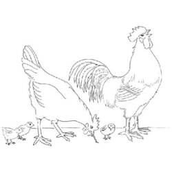 Coloring page: Chick (Animals) #15415 - Free Printable Coloring Pages