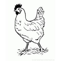Coloring page: Chicken (Animals) #17226 - Free Printable Coloring Pages