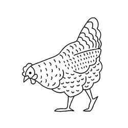 Coloring page: Chicken (Animals) #17228 - Free Printable Coloring Pages