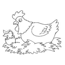 Coloring page: Chicken (Animals) #17350 - Free Printable Coloring Pages