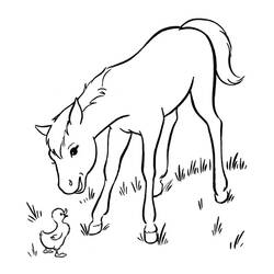Coloring page: Chicks (Animals) #20120 - Free Printable Coloring Pages