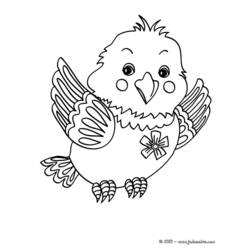 Coloring page: Chicks (Animals) #20122 - Free Printable Coloring Pages