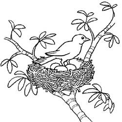 Coloring page: Chicks (Animals) #20150 - Free Printable Coloring Pages