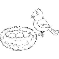 Coloring page: Chicks (Animals) #20304 - Free Printable Coloring Pages