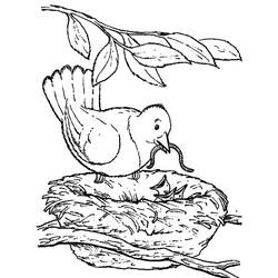 Coloring page: Chicks (Animals) #20305 - Free Printable Coloring Pages