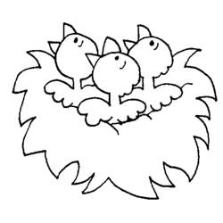 Coloring page: Chicks (Animals) #20307 - Free Printable Coloring Pages