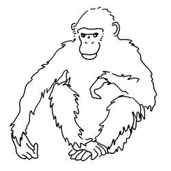 Coloring page: Chimpanzee (Animals) #2779 - Free Printable Coloring Pages
