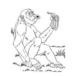 Coloring page: Chimpanzee (Animals) #2782 - Free Printable Coloring Pages