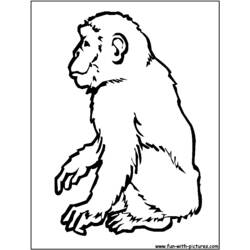 Coloring page: Chimpanzee (Animals) #2794 - Free Printable Coloring Pages