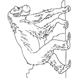 Coloring page: Chimpanzee (Animals) #2796 - Free Printable Coloring Pages