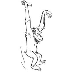 Coloring page: Chimpanzee (Animals) #2812 - Free Printable Coloring Pages