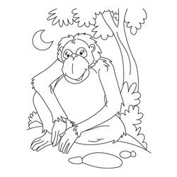 Coloring page: Chimpanzee (Animals) #2827 - Free Printable Coloring Pages