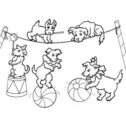 Coloring page: Circus animals (Animals) #20854 - Free Printable Coloring Pages
