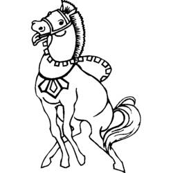 Coloring page: Circus animals (Animals) #20869 - Free Printable Coloring Pages