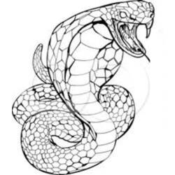 Coloring page: Cobra (Animals) #3220 - Free Printable Coloring Pages