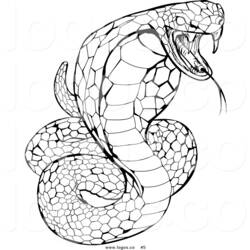 Coloring page: Cobra (Animals) #3263 - Free Printable Coloring Pages